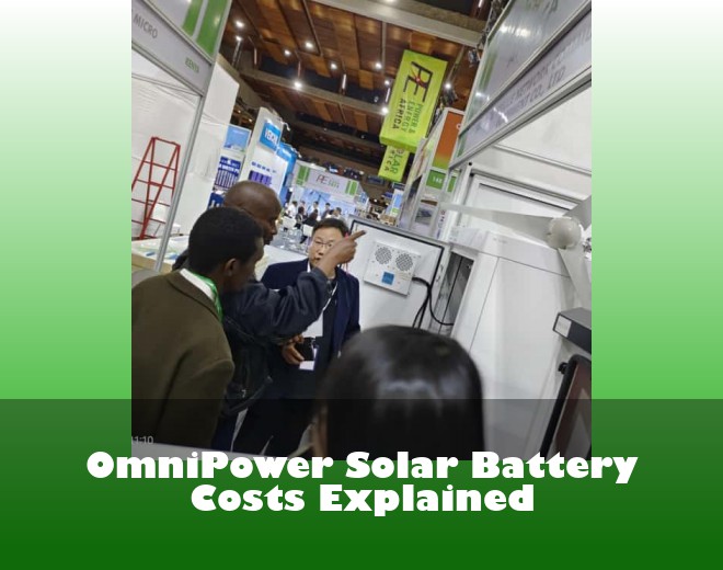 OmniPower Solar Battery Costs Explained